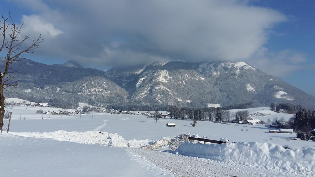 Weinbachbauer - Urlaub Am Bauernhof Villa Sankt Wolfgang im Salzkammergut Ngoại thất bức ảnh