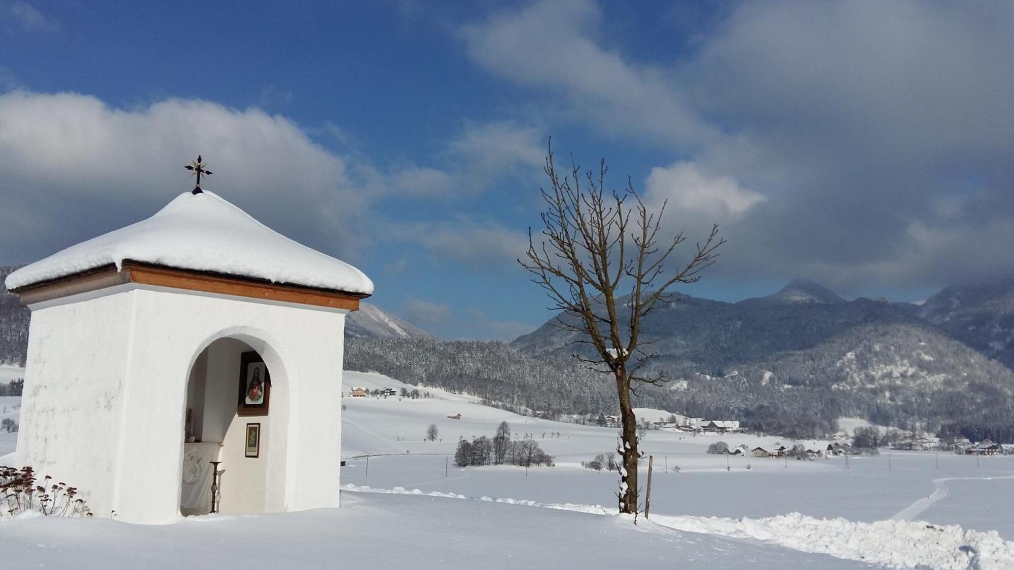 Weinbachbauer - Urlaub Am Bauernhof Villa Sankt Wolfgang im Salzkammergut Ngoại thất bức ảnh